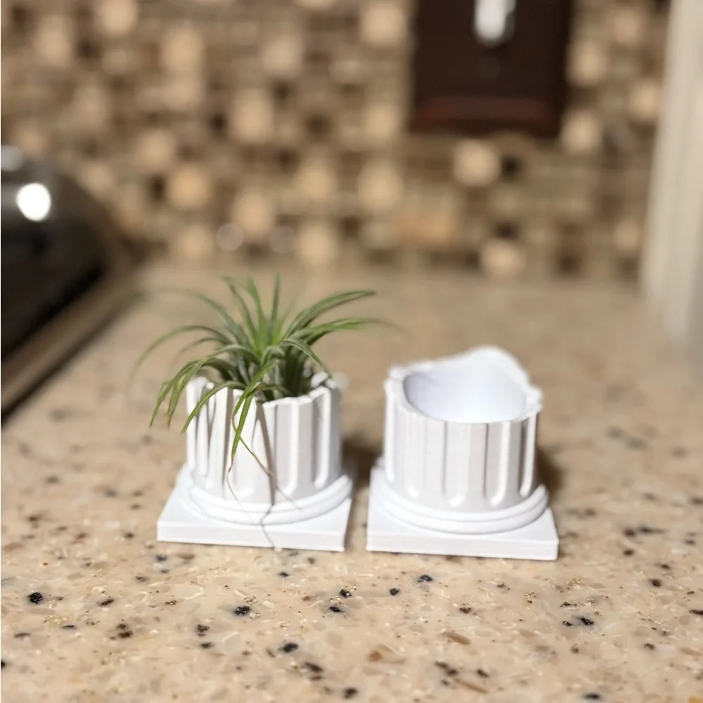 White Column Air Plant holder